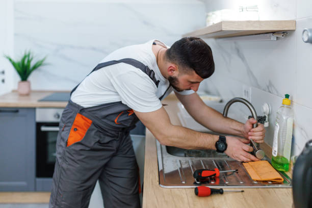 Best Commercial Plumbing Services  in Algonac, MI